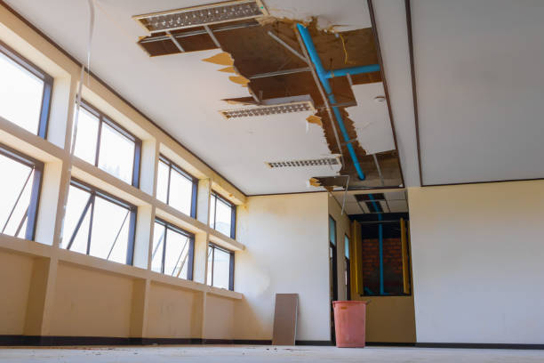 Best Crawl Space Water Damage Solutions in Chariton, IA