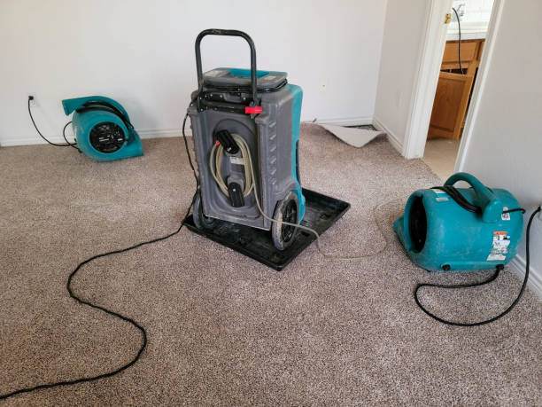  Chariton, IA Water damage restoration Pros